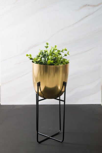 Gold Iron Planter (Set of 2)